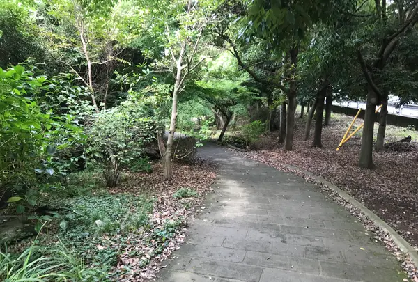 せせらぎ公園の写真・動画_image_381170