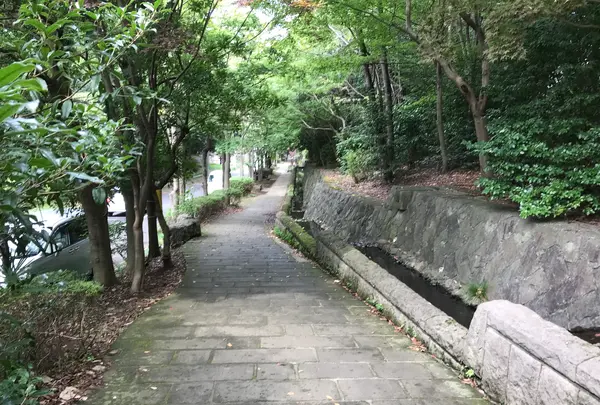 せせらぎ公園の写真・動画_image_381172