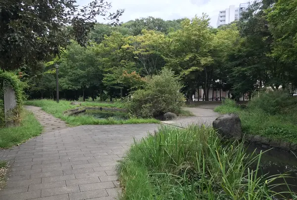 せせらぎ公園の写真・動画_image_381174