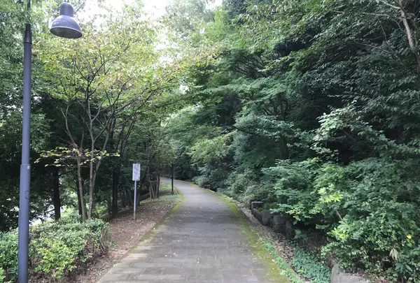 せせらぎ公園の写真・動画_image_381175