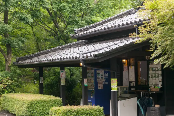 麻生鶴温泉　亀山の湯の写真・動画_image_381297