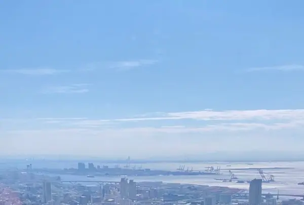 神戸布引ハーブ園の写真・動画_image_381299