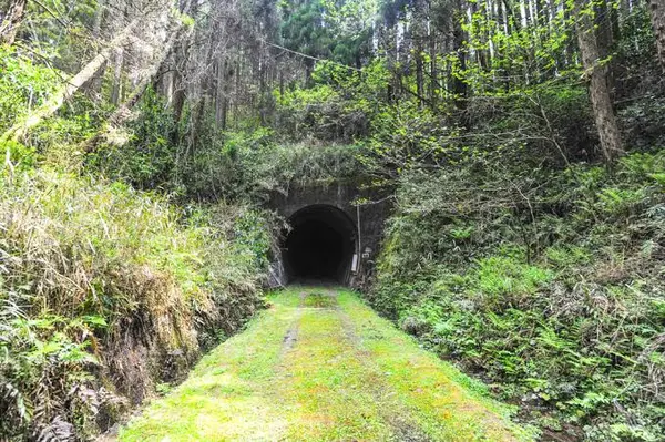 旧国鉄宮原線遊歩道の写真・動画_image_381380