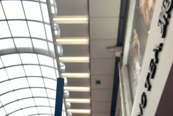 タピオカ DINGTEA 元町の写真・動画_image_381476