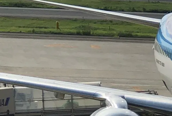 関西空港の写真・動画_image_381527