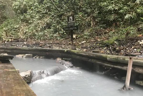 大湯沼川天然足湯の写真・動画_image_381587
