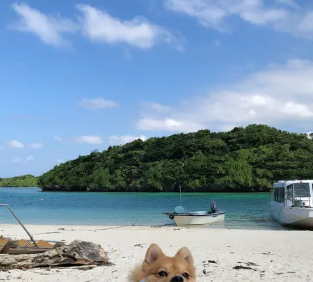 川平湾の写真・動画_image_381669