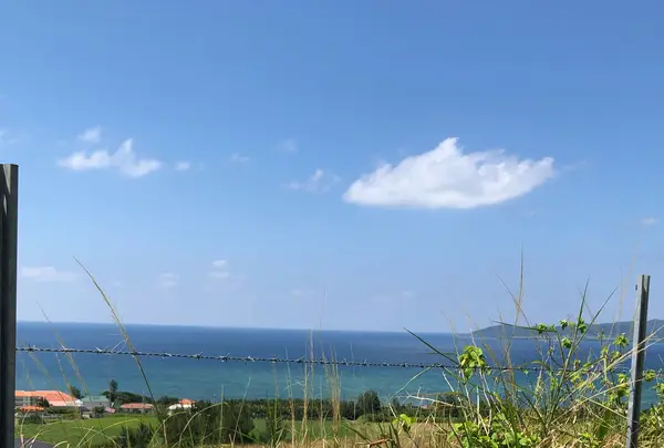 ミルミル本舗の写真・動画_image_381681
