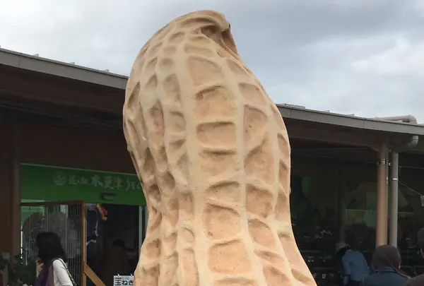 道の駅 木更津うまくたの里の写真・動画_image_381738