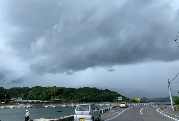 向島の写真・動画_image_381806