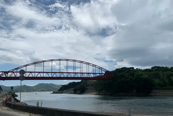 向島の写真・動画_image_381807