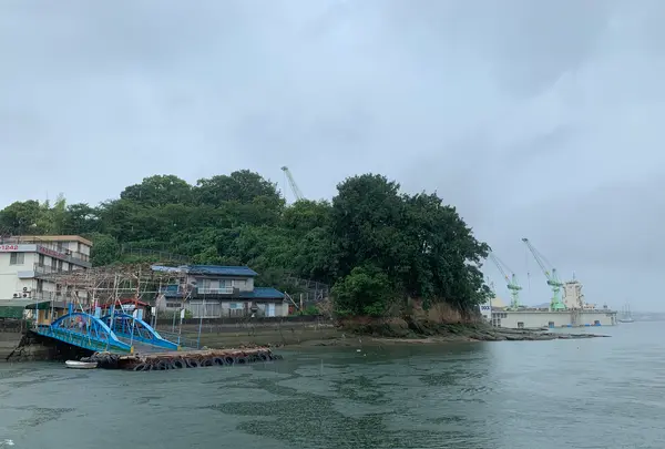 向島の写真・動画_image_381808