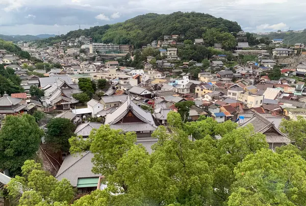 千光寺山ロープウェイの写真・動画_image_381819