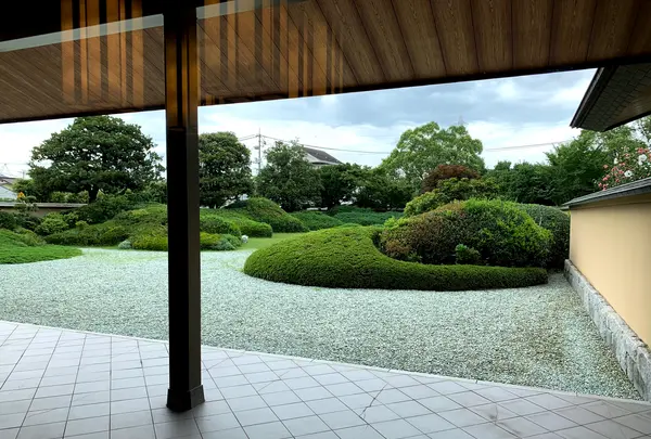 平山郁夫美術館の写真・動画_image_381993
