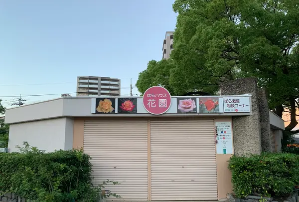 ばら公園の写真・動画_image_381999