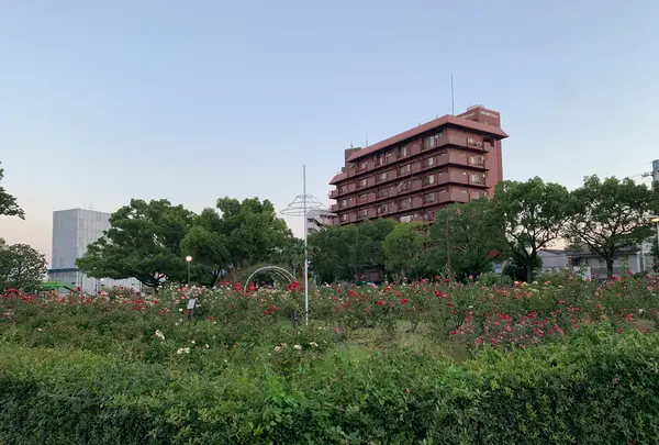 ばら公園の写真・動画_image_382005