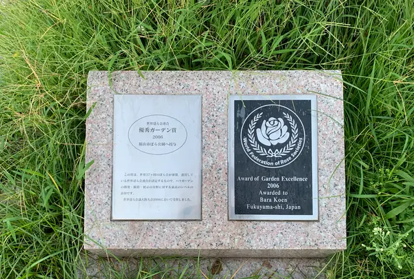 ばら公園の写真・動画_image_382013