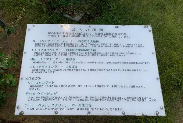 ばら公園の写真・動画_image_382014