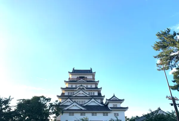 福山城の写真・動画_image_382066