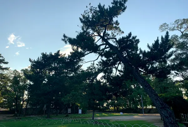 福山城の写真・動画_image_382072