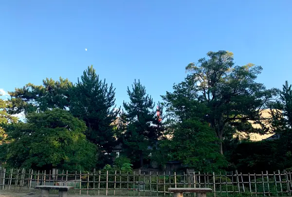 福山城の写真・動画_image_382075