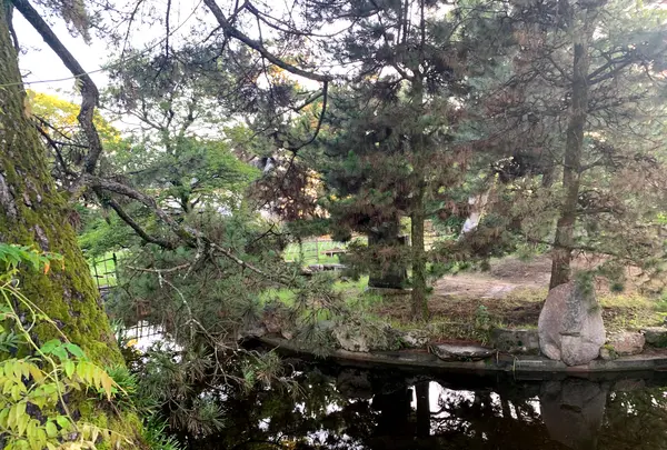 福山城の写真・動画_image_382078