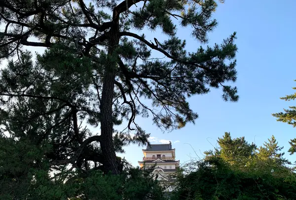 福山城の写真・動画_image_382080