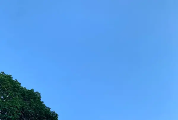 福山城の写真・動画_image_382088