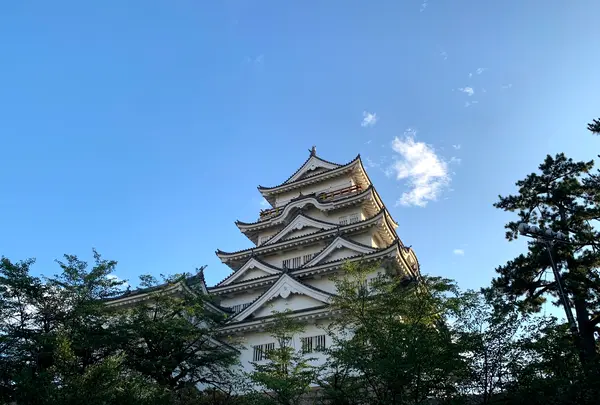 福山城の写真・動画_image_382089