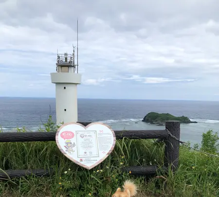 平久保崎灯台の写真・動画_image_382175