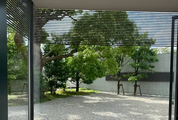 鈴木大拙館の写真・動画_image_382292
