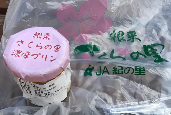 道の駅根来さくらの里の写真・動画_image_382323