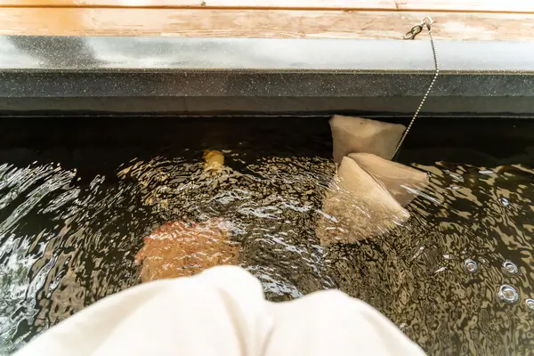 神戸布引ハーブ園の写真・動画_image_382347