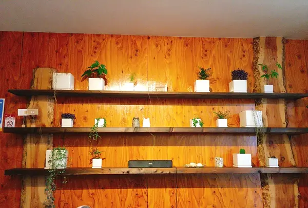 十勝豆花本店の写真・動画_image_382439