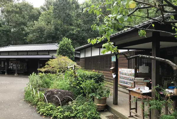 舞岡公園の写真・動画_image_382489