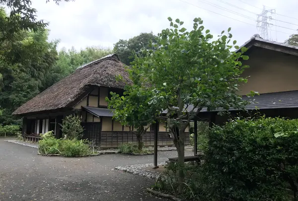 舞岡公園の写真・動画_image_382490