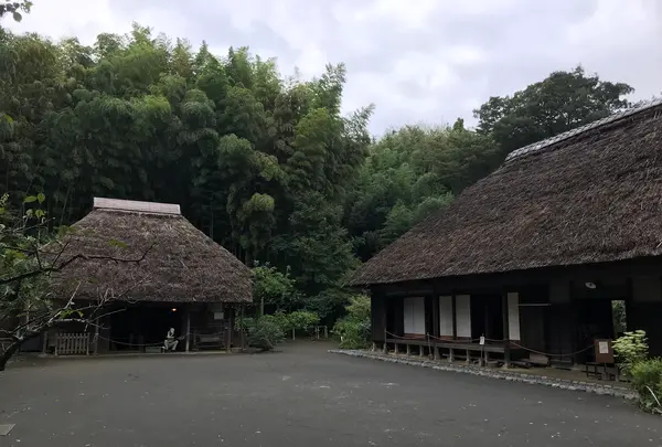 舞岡公園の写真・動画_image_382491