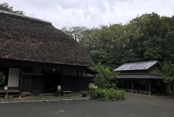 舞岡公園の写真・動画_image_382493