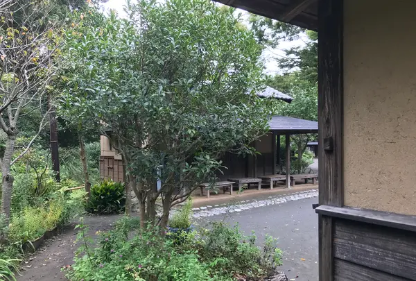 舞岡公園の写真・動画_image_382500