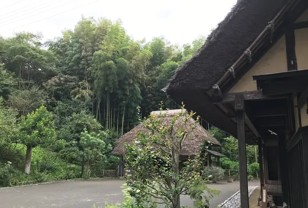 舞岡公園の写真・動画_image_382502