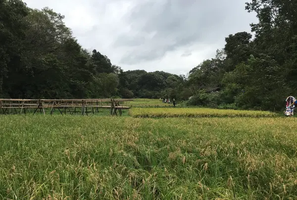 舞岡公園の写真・動画_image_382505