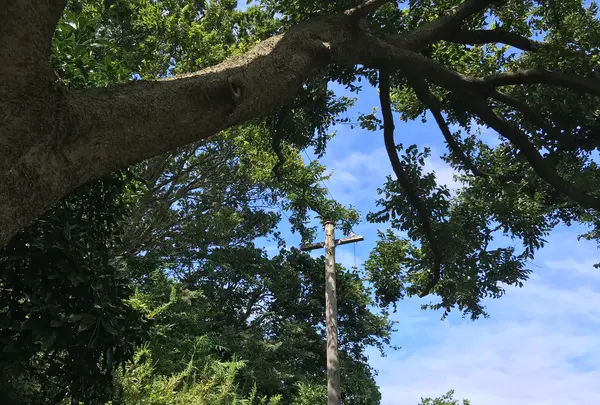 舞岡公園の写真・動画_image_382507