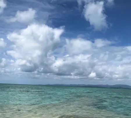 西桟橋の写真・動画_image_382694