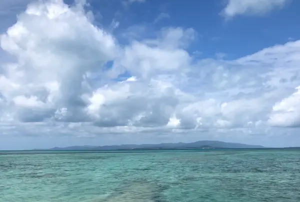 西桟橋の写真・動画_image_382695