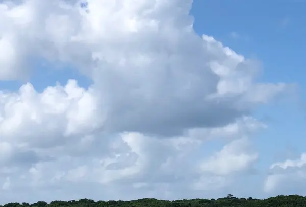 竹富島の写真・動画_image_382696