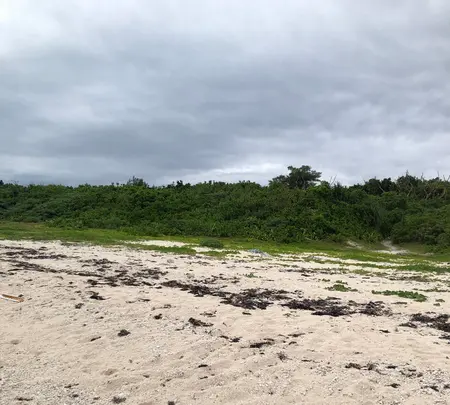 アイヤル浜の写真・動画_image_382713