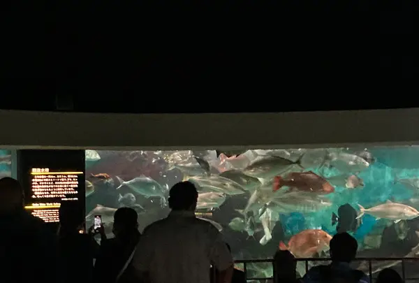 志摩マリンランドの写真・動画_image_382791