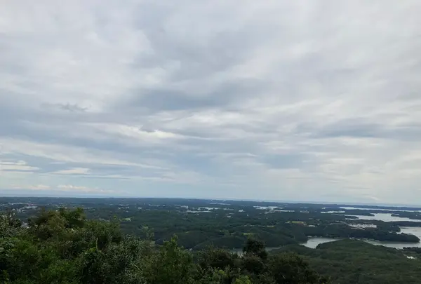 横山展望台の写真・動画_image_382807