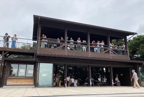 横山展望台の写真・動画_image_382808