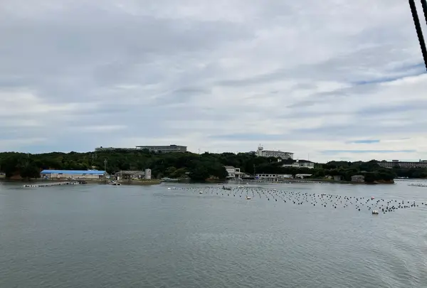 賢島エスパーニャクルーズの写真・動画_image_382856